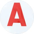 Miniatyrbild 2 av 2: Skiva "A" Magnetisk ung förare