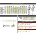 Miniatyrbilde 1 av 2: Erstatter OMP OMPSC0-0164
