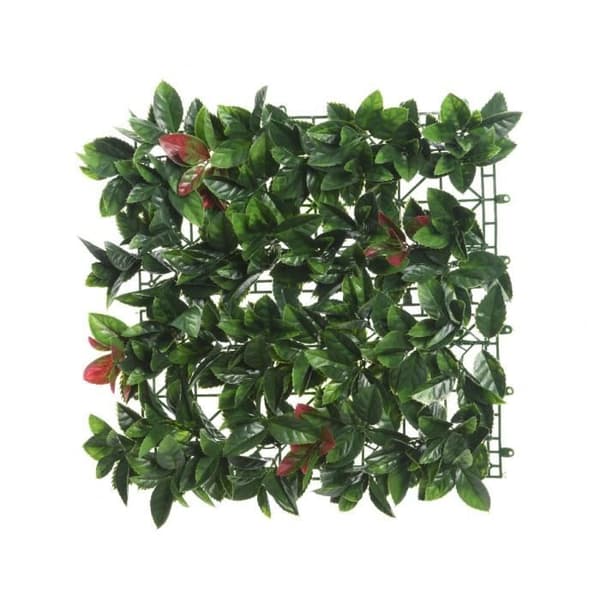 Siepe Artificiale - NO NAME - Photinia - 100x100cm - Grön - Resistant Plast Panel