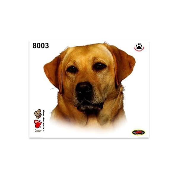 Klistermärke - Labrador - 14 x 16 cm - Hög kvalitet - Hållbar - Klara färger