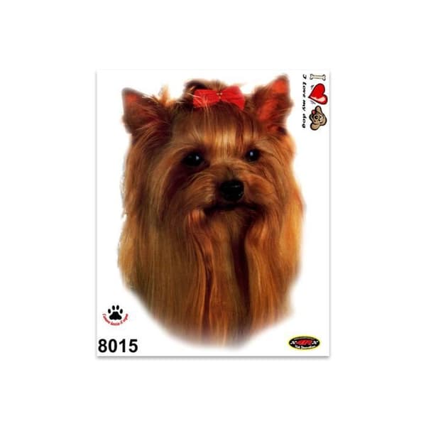 Klistermärke - Yorkshire Terrier - 14 x 16 cm - Hållbar - Klara färger - Exakta detaljer