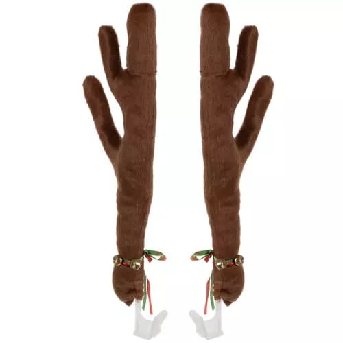 Renhorn till Bilen - Rudolf