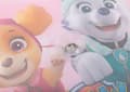 Miniatyrbild 4 av 5: Parasoll Bil - Paw Patrol - Rosa - UV-skydd - 44x35 cm - Sugpropp