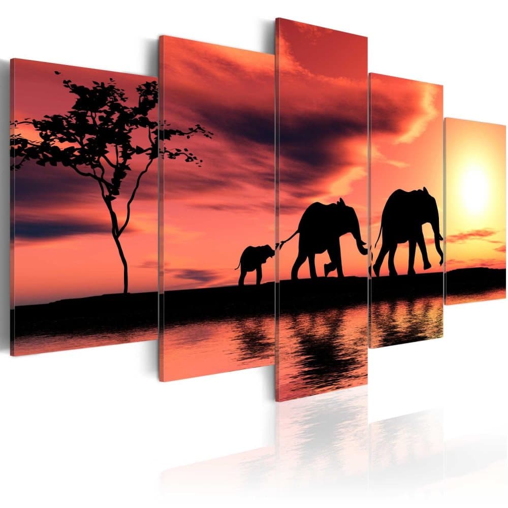 Kuva - African elephants family