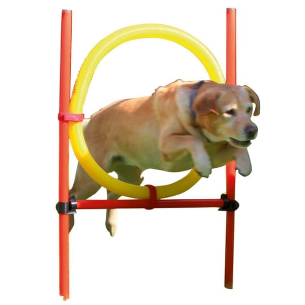 Kerbl træningssæt til hundeagility rød 80758
