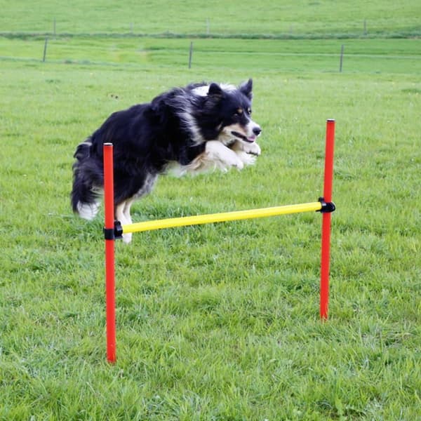 Kerbl træningssæt til hundeagility rød 80758