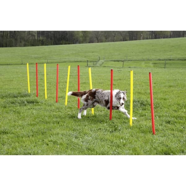 Kerbl træningssæt til hundeagility rød 80758