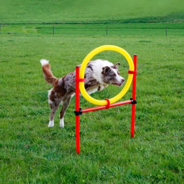 Kerbl træningssæt til hundeagility rød 80758