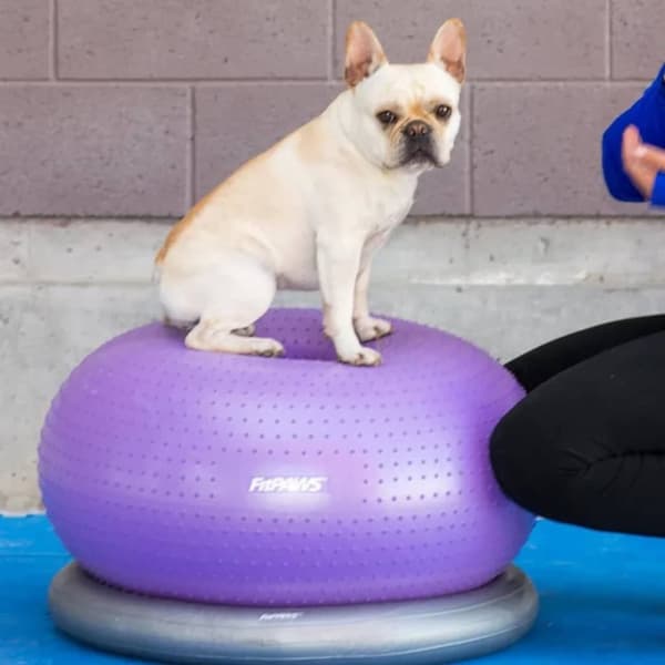 FitPAWS Balanseball til kjæledyr TRAX Donut 55 cm lilla