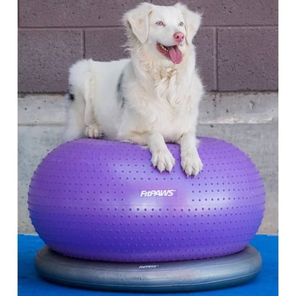 FitPAWS Balanseball til kjæledyr TRAX Donut 55 cm lilla