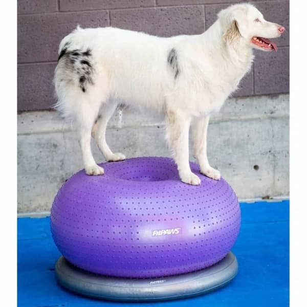 FitPAWS Balanseball til kjæledyr TRAX Donut 55 cm lilla