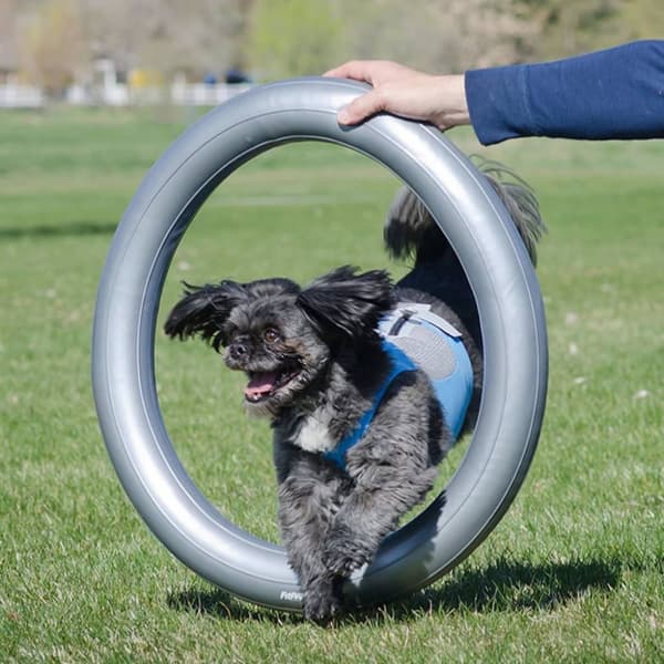 FitPAWS Donuthållare 63 cm grå