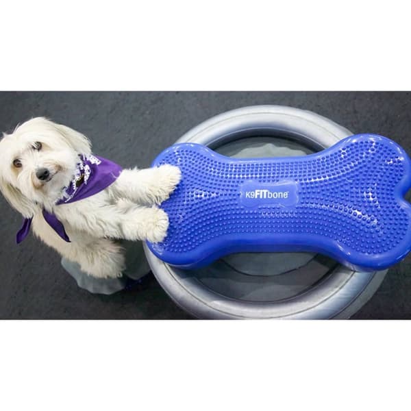 FitPAWS Donuthållare 63 cm grå