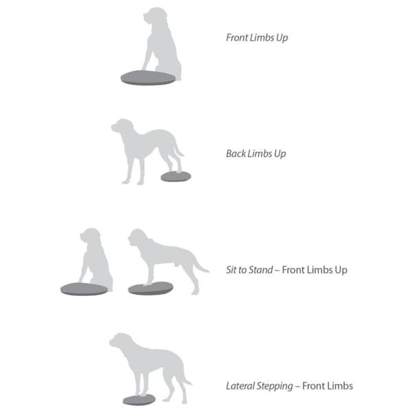 FitPAWS Balansplatta för hund 56 cm blå