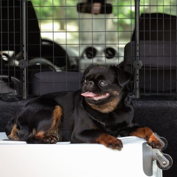 Relaxdays hundgrind för bil, universell barriär, justerbar bredd, H x L 40 x 92-157 cm, svart