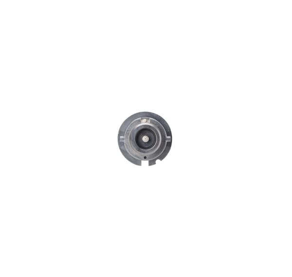 Bosch D2R Xenon 35W