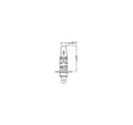 Miniatyrbilde 2 av 4: H1 12V 55W Cool Blue Intense