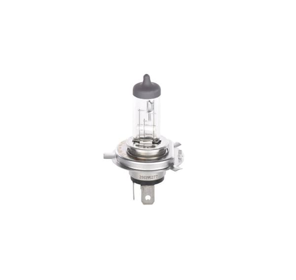 Bosch ECO H4 12V 60/55W Plus 100