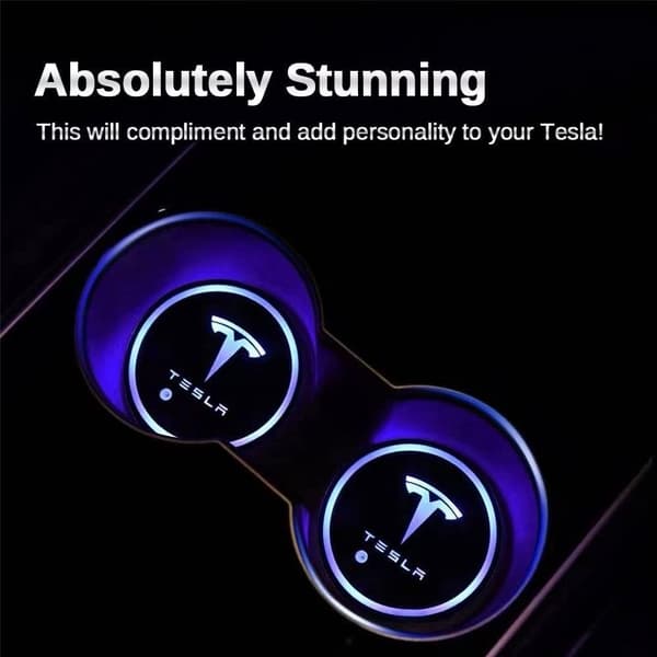 2X Tesla logo Blybunnplate for kruseholdere
