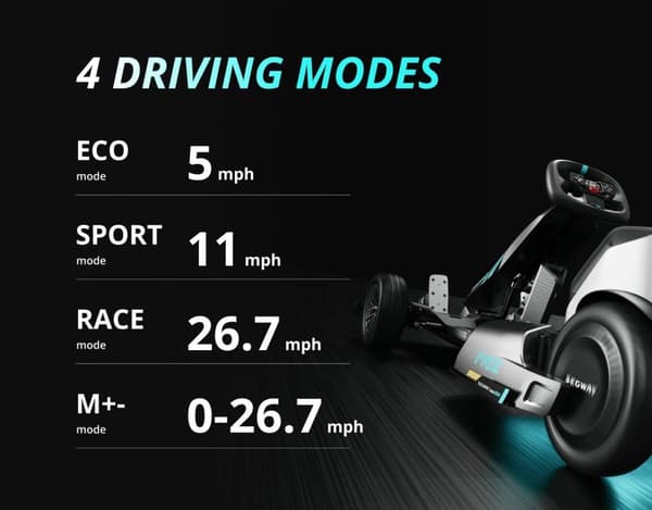 Segway Gokart Pro 2