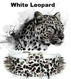 Hund halsband 2tum vit Leopard med nitar 49-57cm