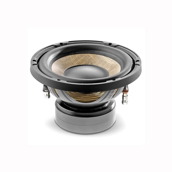Focal P20FE