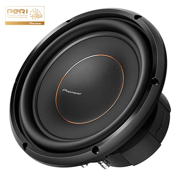 Pioneer TS-D10D4
