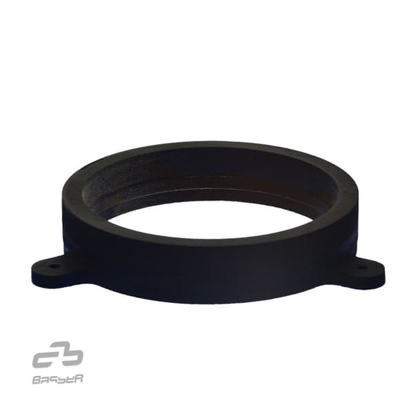 Basser DMvolv02