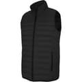Miniatyrbilde 1 av 3: Kariban Mens Quilted Lightweight Down Bodywarmer