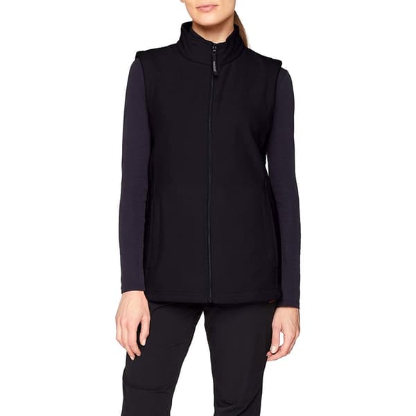 Regatta Dame/Ladies Micro Fleece Bodywarmer / Gilet