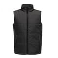 Miniatyrbillede 1 af 4: Regatta Standout Mens Access isoleret bodywarmer til mænd