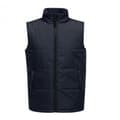 Miniatyrbild 1 av 4: Regatta Standout Mens Access Insulated Bodywarmer för män