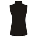 Miniatyrbilde 2 av 3: Regatta Womens/Ladies 210 Series Microfleece Bodywarmer / Gilet