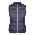 Miniatyrbillede 1 af 4: Regatta Dame/Damer Firedown Down-Touch isolerede bodywarmer