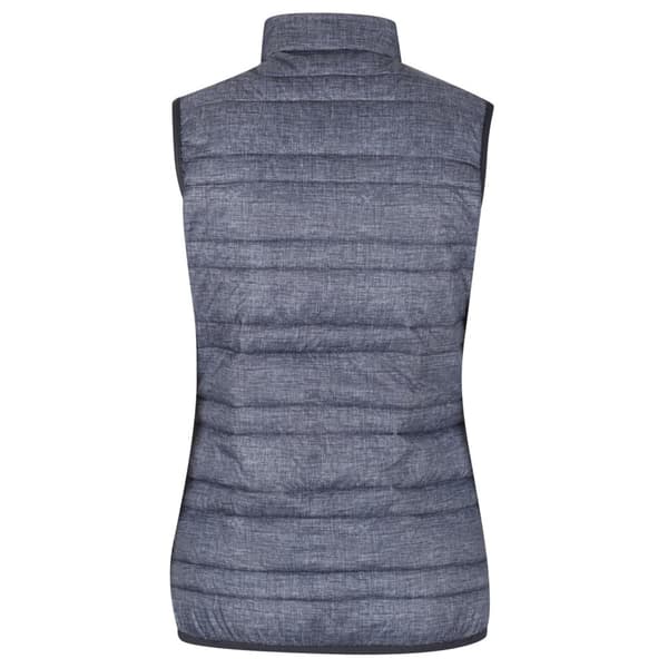 Regatta Dame/Damer Firedown Down-Touch isolerede bodywarmer
