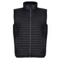 Miniatyrbilde 1 av 4: Regatta Mens Honestly Made Recycled Body Warmer