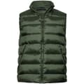 Miniatyrbilde 1 av 3: Tee Jays Mens Lite Gilet
