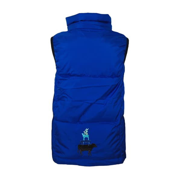 Little Knight Childrens/Kids Farm Collection Padded Riding Gilet