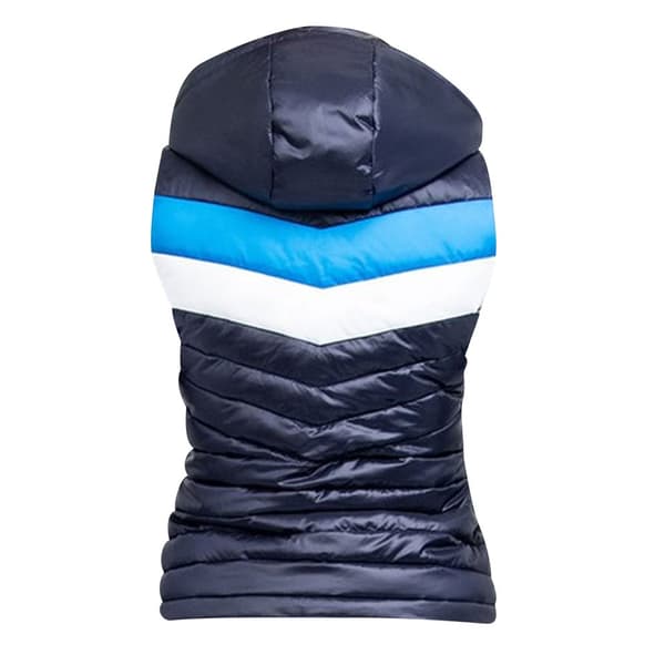 Coldstream Womens/Ladies Southdean Quilted Gilet