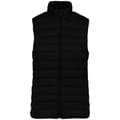 Miniatyrbilde 1 av 2: Native Spirit Womens/Ladies Light Recycled Body Warmer
