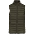 Miniatyrbilde 1 av 2: Native Spirit Womens/Ladies Light Recycled Body Warmer