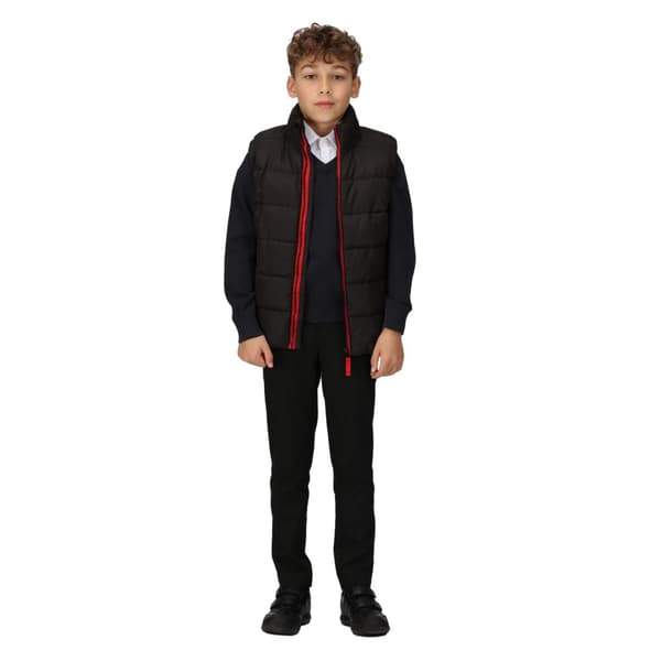 Regatta Childrens/Kids Scholar Thermal Body Warmer