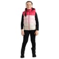 Miniatyrbilde 5 av 5: Regatta Childrens/Kids Jolly Padded Gilet