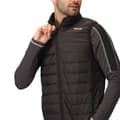 Miniatyrbillede 6 af 9: Regatta Vest Marizion Sort L Mand