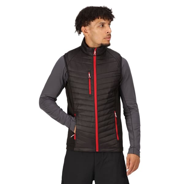 Regatta Herr Navigate Quiltad Hybrid Gilet