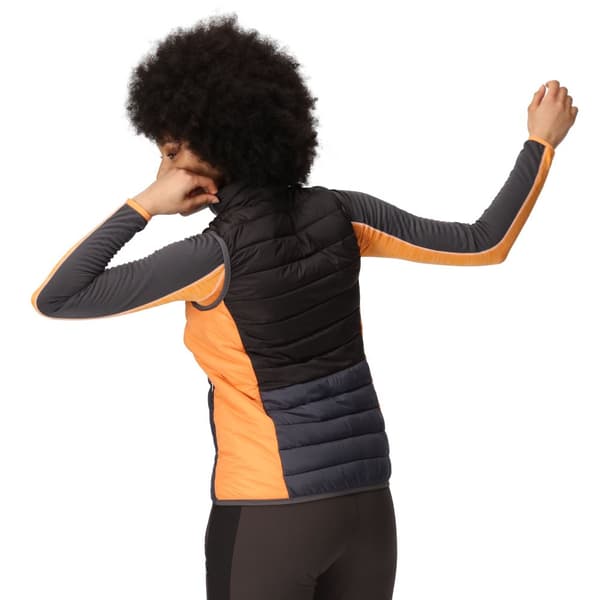 Regatta Dam/Lady Harrock II Baffled Gilet