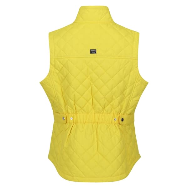 Regatta Womens/Ladies Carmine Gilet