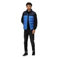Miniatyrbillede 4 af 4: Regatta Mens Vintage Colour Block Gilet