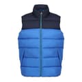 Miniatyrbillede 1 af 4: Regatta Mens Vintage Colour Block Gilet