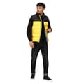 Miniatyrbilde 4 av 4: Regatta Mens Vintage Colour Block Gilet